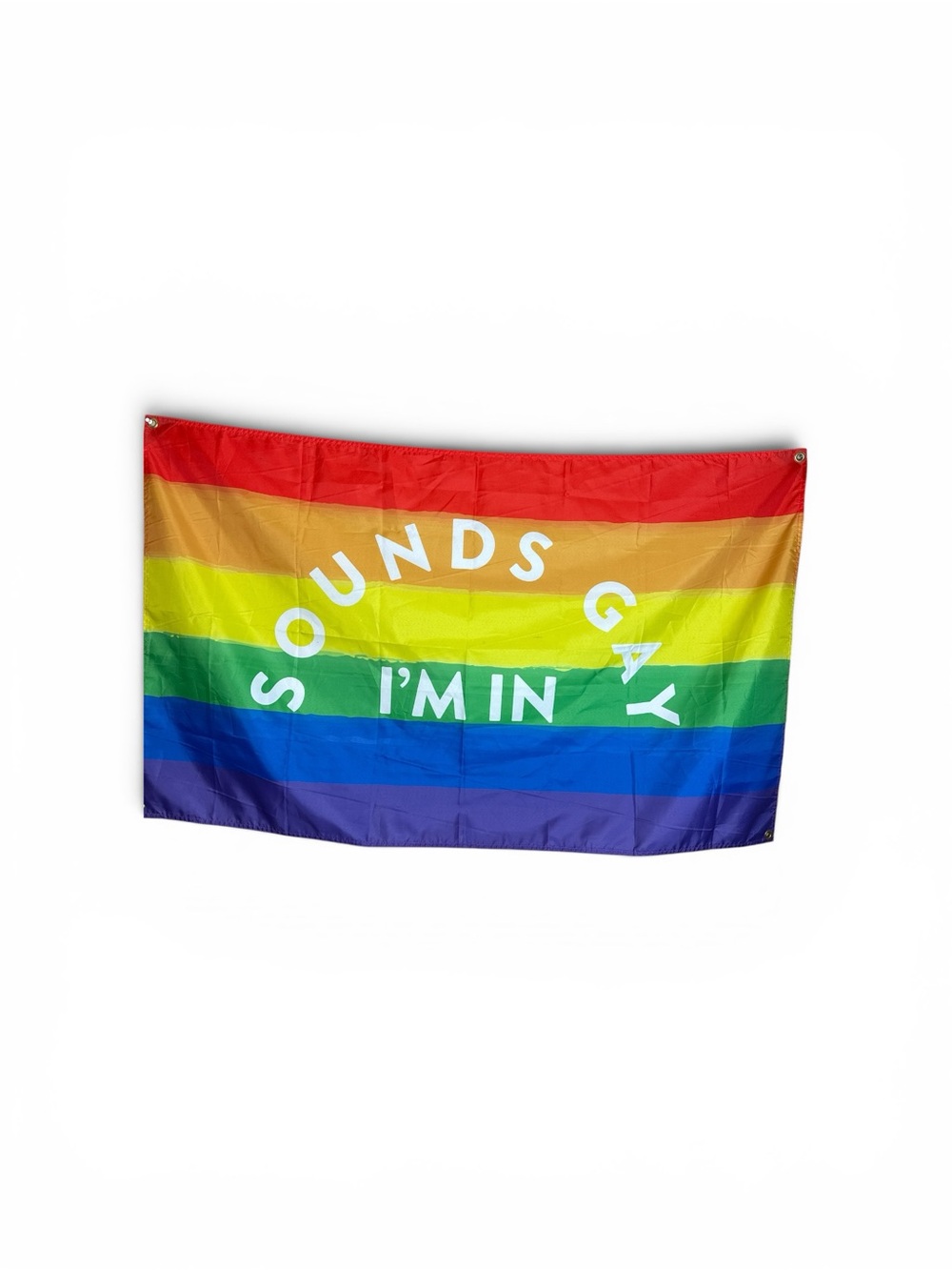 Large Pride flag